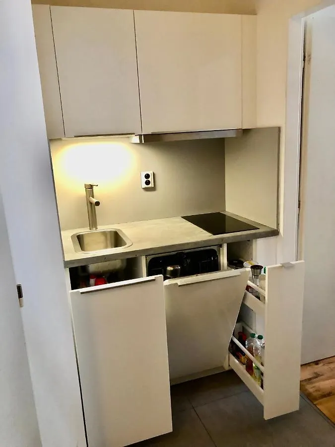 Karlin Cozy Studio Praha