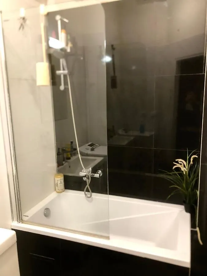 Karlin Cozy Studio Praga 0*,